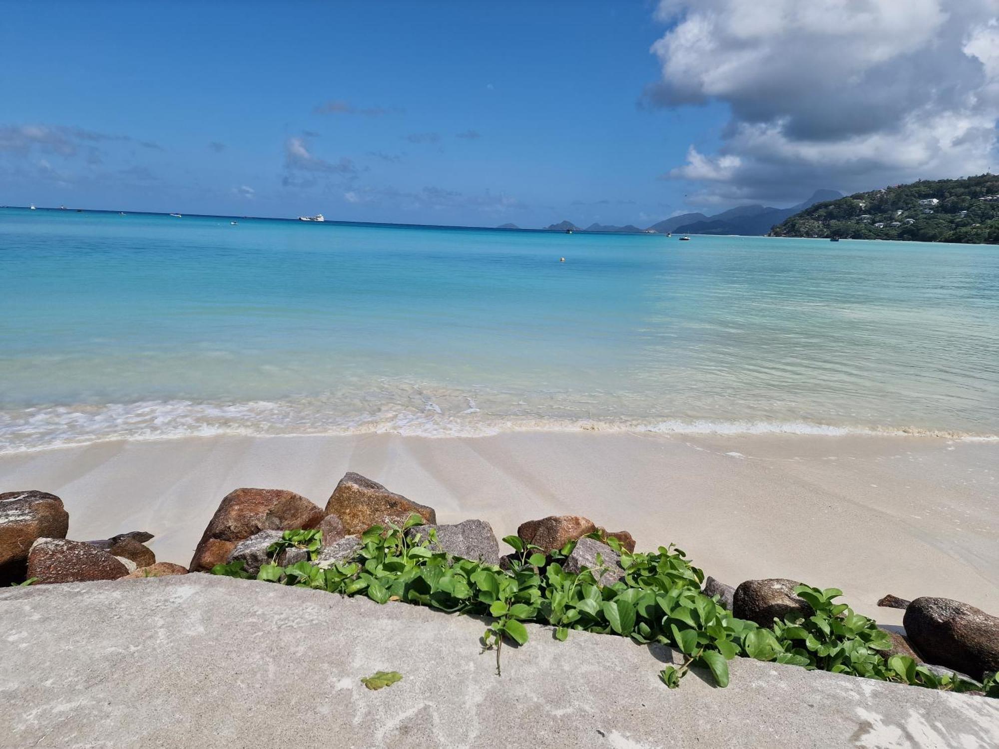 A Peace In Paradise Anse Royale Exteriör bild
